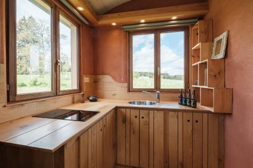 a kitchen with a sink and two windows at La roulotte Ô Cwèrbâs in Gouvy