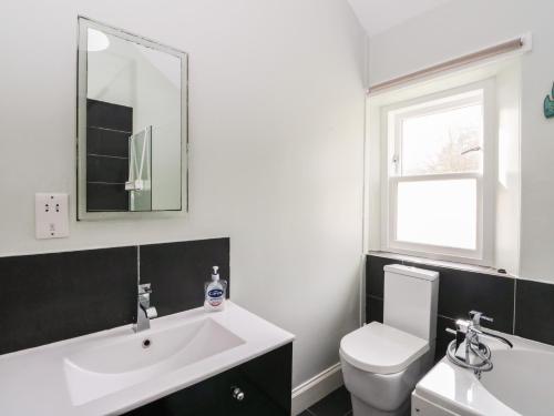 a bathroom with a sink and a toilet and a mirror at Ardpatrick South Lodge in Tarbert