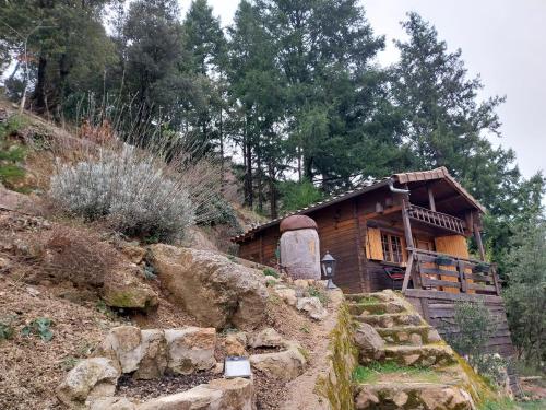 Adorable chalet au coeur de l'Ardèche