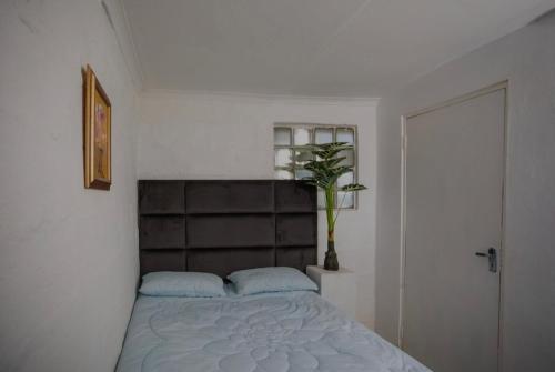a bedroom with a bed with a headboard and a plant at HiddenValley in Chartwell