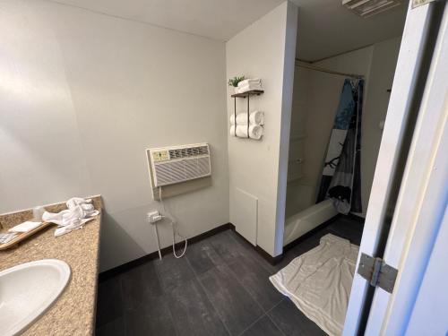 a bathroom with a sink and a air conditioner at Tecumseh Inn & Suites in Tecumseh
