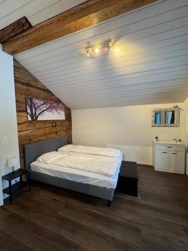 Comfortable chalet close to ski slopes