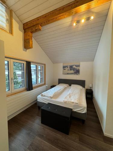 Comfortable chalet close to ski slopes