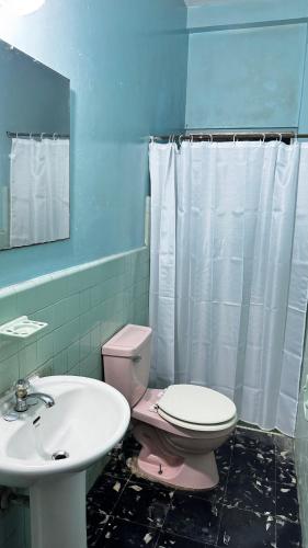 a bathroom with a pink toilet and a sink at Peace N' Green - APARTMENTS - Doleguita in David