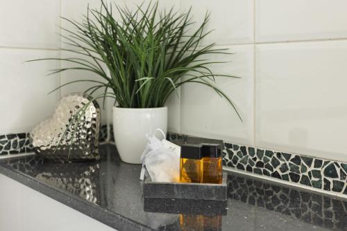 a counter with a potted plant and a bottle of perfume at Bellfoot Rural Retreat and Hot Tub in Grasmere