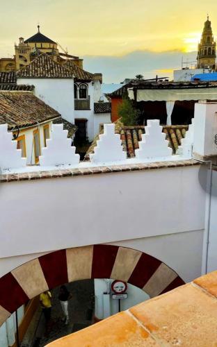 a view of the rooftops of a building with a flag at La Ermita Suites - Único Hotel Monumento de Córdoba in Córdoba