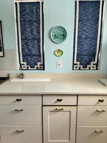 a kitchen with a sink and two windows at House on the Gwynns Falls in Baltimore