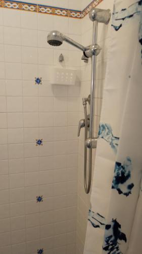 a bathroom with a shower with a blue at la scogliera in Vernazza