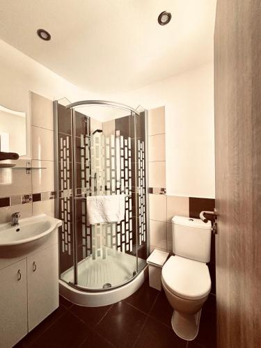 a bathroom with a shower and a toilet and a sink at Penzion Amálka in Třeboň