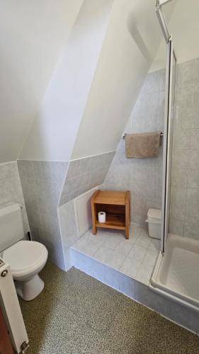 an attic bathroom with a toilet and a shower at Auberge La Cure in Oz