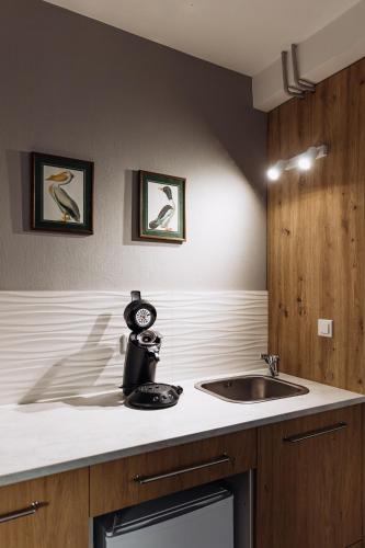 a kitchen with a sink and a counter top at Hotel Kleiner Riesen in Koblenz