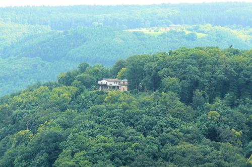 a house on top of a hill with trees at Berghotel Wintersberg in Bad Ems