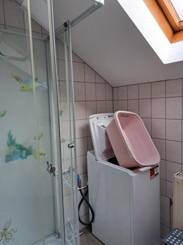 eine Waschmaschine in einem Badezimmer mit Dusche in der Unterkunft Wohnung Widdern in Widdern