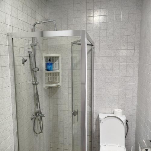a bathroom with a shower and a toilet in it at Cera luxe apartment in Soko Banja