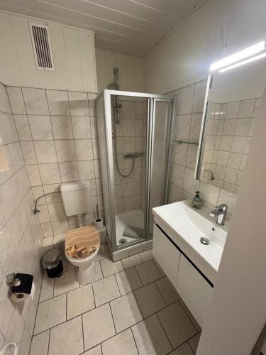 a bathroom with a shower and a toilet and a sink at Meeresbrise in Norden