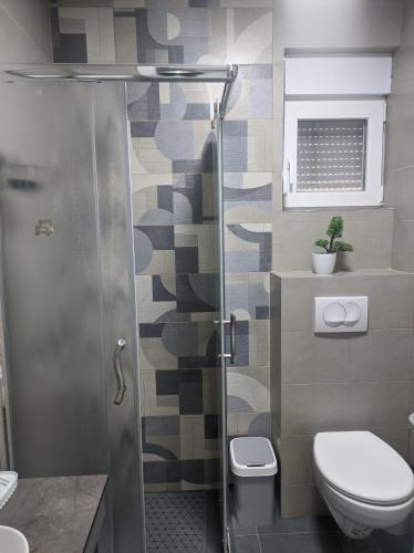a bathroom with a toilet and a glass shower at SokoSTAR Apartman in Soko Banja