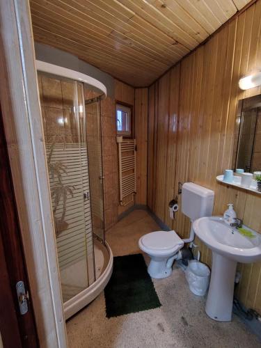 a bathroom with a toilet and a shower and a sink at Casa Tudor Turda in Turda