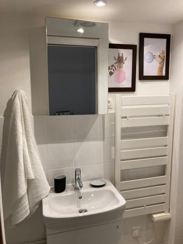 a white bathroom with a sink and a mirror at Apartment avec cours in Bonny-sur-Loire