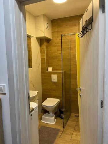 a bathroom with a toilet and a glass shower at Apartman Mimoza - Meljine in Meljine