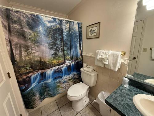 a bathroom with a waterfall shower curtain next to a toilet at Rivers Edge 803 in Helen