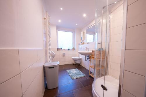 a bathroom with a toilet and a sink at Central Gerolstein Panorama Apartment in Gerolstein