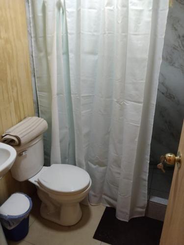 a bathroom with a toilet and a shower curtain at Cabaña con rio y camping in Los Ángeles