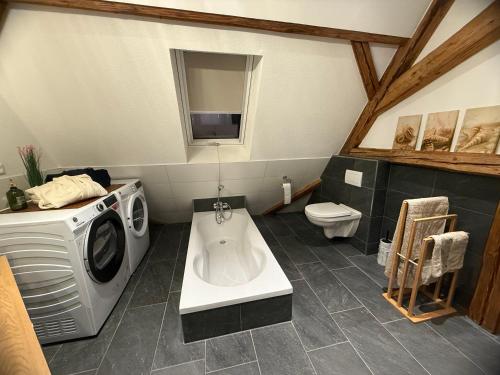 a bathroom with a washing machine and a toilet at Haus der Geschichten in Marienberg