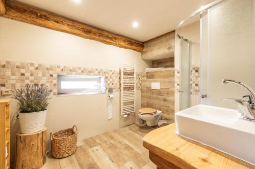 a bathroom with a sink and a toilet at Selská chalupa Anetka in Horšovský Týn