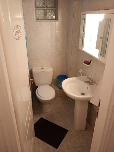 a bathroom with a toilet and a sink at Katerina Apartments in Flogita