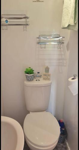 a bathroom with a toilet with a plant on top of it at An Gearasdan in Eoropie