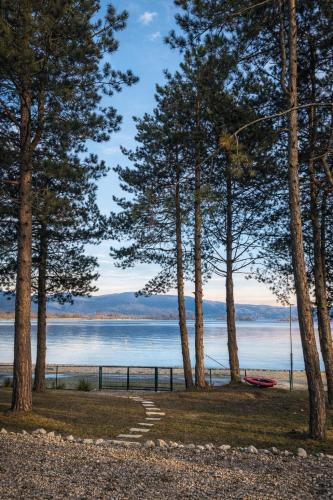 a view of a beach with trees and a swing at Borova Bajka - Peace & Privacy by the Danube in Usije