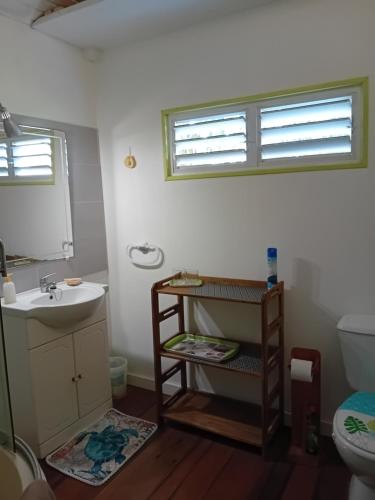 a bathroom with a sink and a toilet at Gîte HIBISCUS in Saint-François