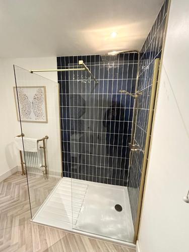 a shower with a glass door in a bathroom at Blue Skies Apartment - Marina Views in Torquay