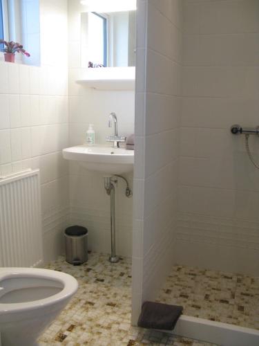 a bathroom with a toilet and a sink at Fuglevænget in Hundested