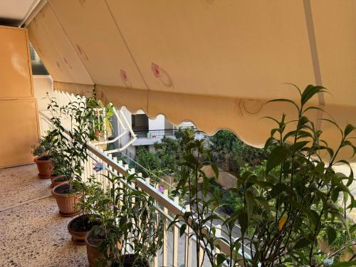KATERINA's House