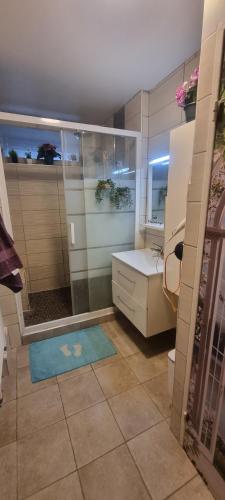 a bathroom with a shower and a blue rug at Charmante chambre chez l'habitant in Ivry-sur-Seine