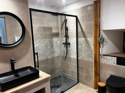a bathroom with a shower with a sink and a mirror at Gite la pause corrézienne in Troche