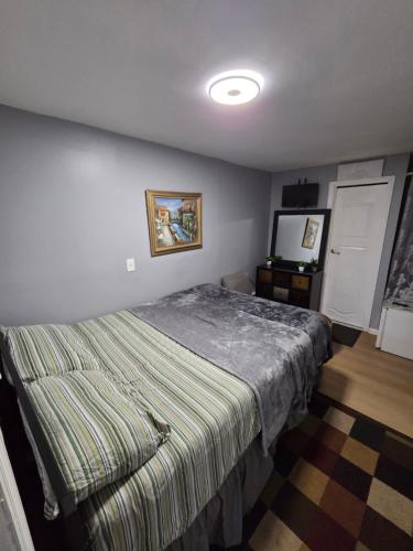 a bedroom with a bed and a television in it at Queen Private room with private bathroom in Irvington