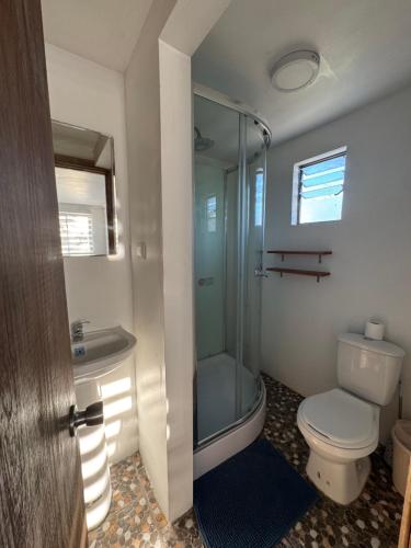 a bathroom with a shower and a toilet and a sink at Casa Maybell in Chillán