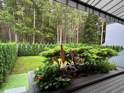 a patio with a garden with plants and trees at Beachside Studio with Private Garden & Terrace 100m to the beach in Jūrmala