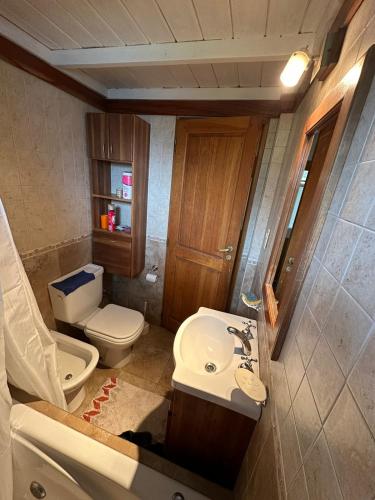 a bathroom with a toilet and a sink at Aromas de Montaña III in Junín de los Andes