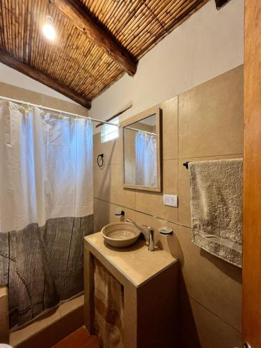 a bathroom with a sink and a shower at Casa campo Ayllu in Tilcara