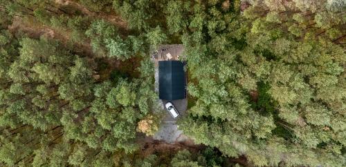 an aerial view of a car in the middle of a forest at Leśny Chill House in Grodziec