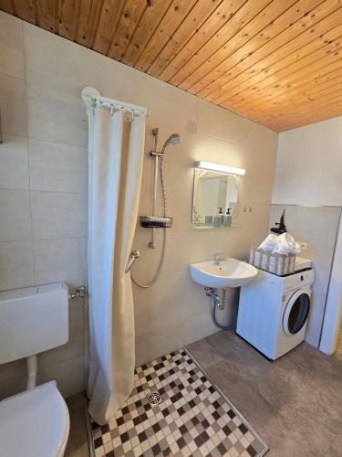 a bathroom with a shower and a toilet and a sink at Apartment Leidenberger - Nähe Rothenburg & Ansbach - 2 Schlafzimmern in Colmberg