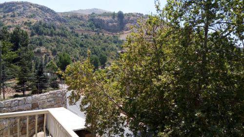 Faraya Residencia – Photos 3