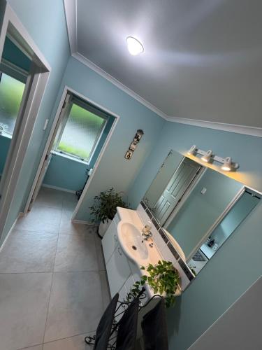 a bathroom with a sink and a mirror at Waitomo Orchard Estate B&B in Otorohanga