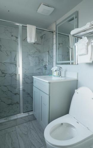 a bathroom with a shower and a toilet and a sink at Ocean Breeze Inn in Saint Augustine Beach