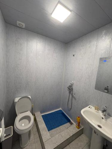 a bathroom with a shower and a toilet and a sink at Old Bazar in Kogon