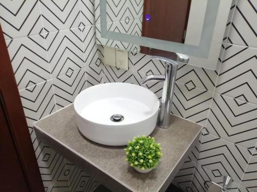 a bathroom with a sink and a plant on a counter at Ciudad del Valle Departamento C in Tepic