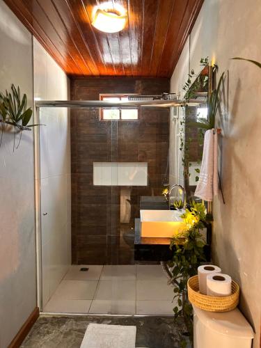 a bathroom with a shower and a sink at Villa Sairé in Alter do Chao